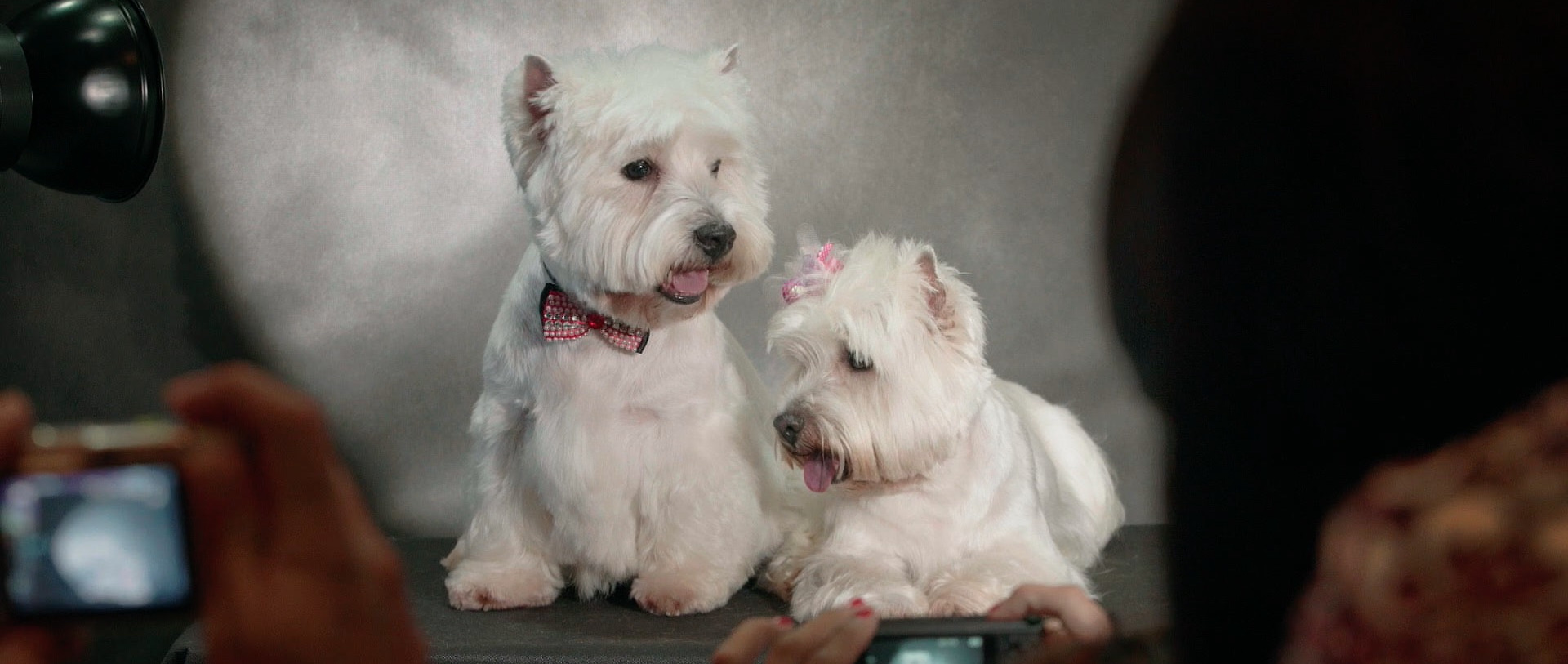 01KBMHF9ZMSR313NFW0BF16FXN-v1