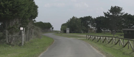 Contracampos