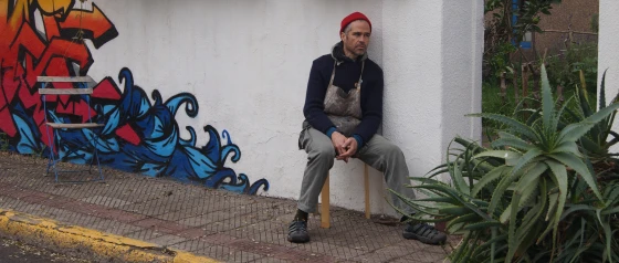 Riña De Gatos
