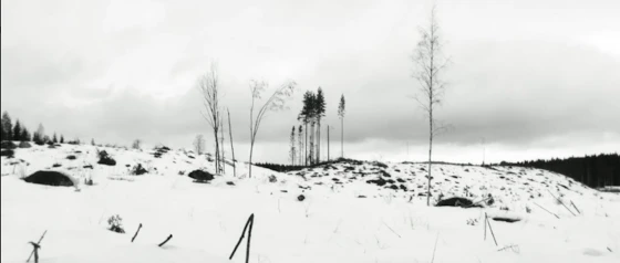 Variaciones De Winterreise