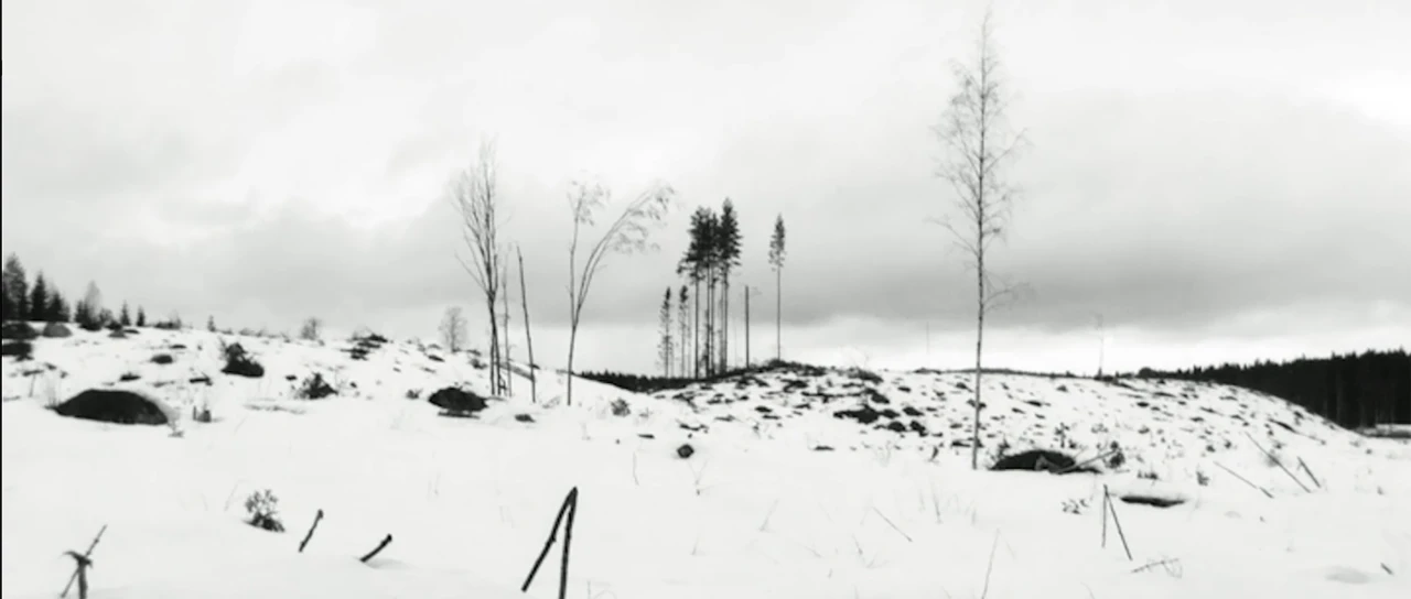 Fotograma del curtmetratge Variaciones De Winterreise