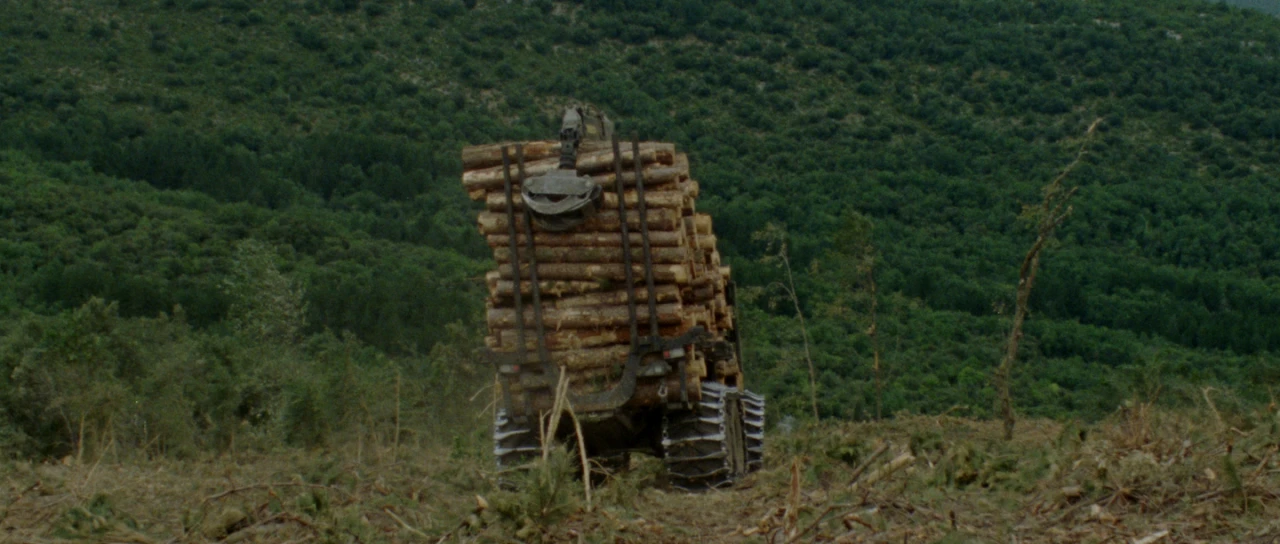 Frame from the short film Cambium