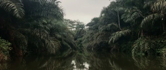Ningún Río Me Protexe De Min