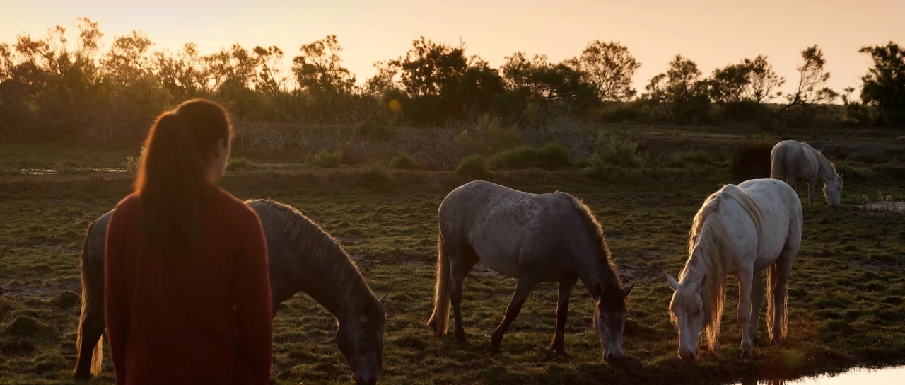 Fotograma del cortometraje Un Soroll Llunyà